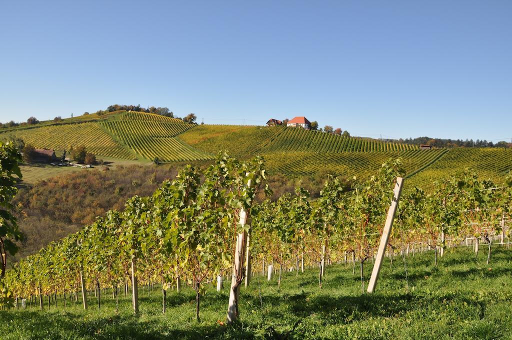 Weingut Koegl Bed & Breakfast Ratsch an der Weinstrasse Exterior photo